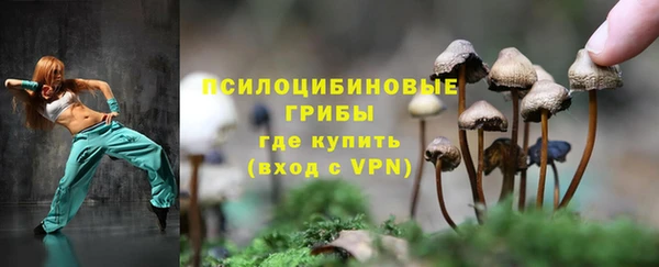 героин Алзамай