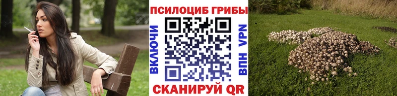 Галлюциногенные грибы мухоморы  продажа наркотиков  Прохладный 