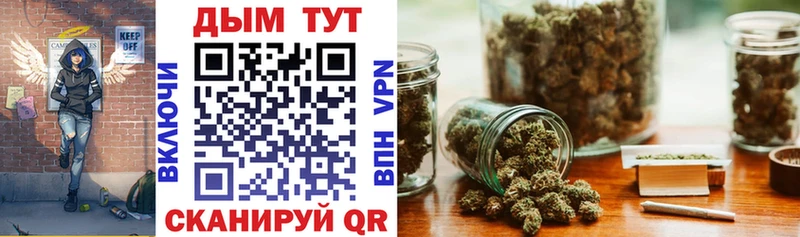 Бошки марихуана SATIVA & INDICA  Прохладный 
